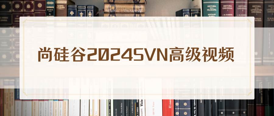 尚硅谷2024SVN高级视频